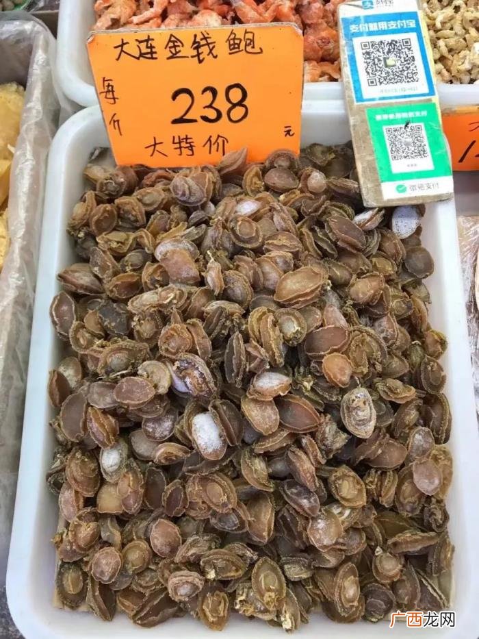 鲍鱼这些年经历了什么 鲍鱼像什么
