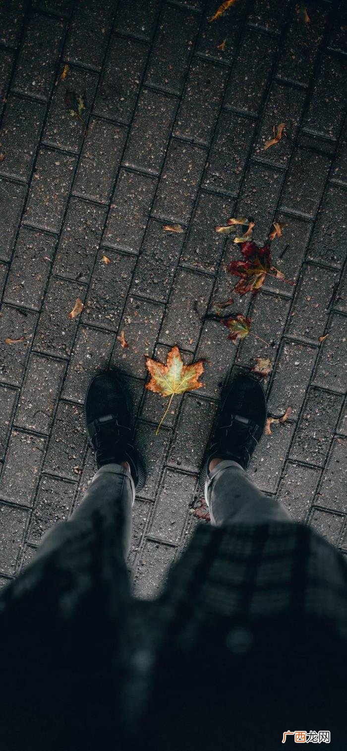 壁纸｜快手热门壁纸 快手最火图片