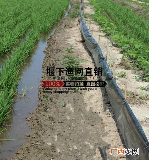 螃蟹逃了怎么找出来 螃蟹养殖放逃网