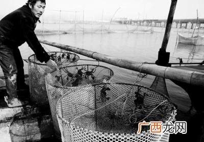 网箱养虾 螃蟹养殖网箱