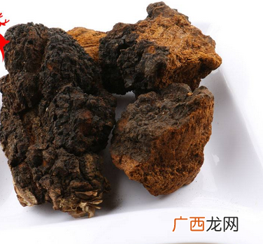 桦树茸怎么吃？桦树茸正确吃法