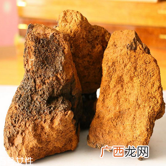 桦树茸怎么吃？桦树茸正确吃法