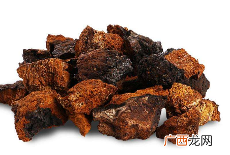 桦树茸价格桦树茸会不会很贵