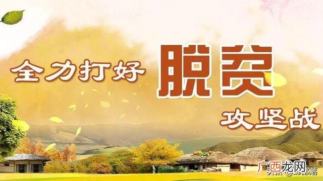 农村致富做什么好,致富做什么赚钱