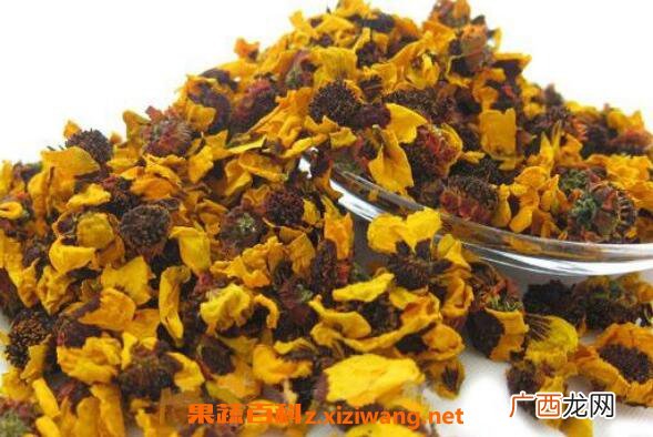 昆仑雪菊的功效与作用 新疆雪菊的功效与作用