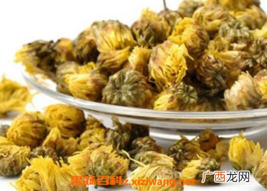胎菊的功效与作用 胎菊的药用价值