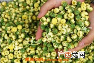 胎菊的功效与作用 胎菊的药用价值