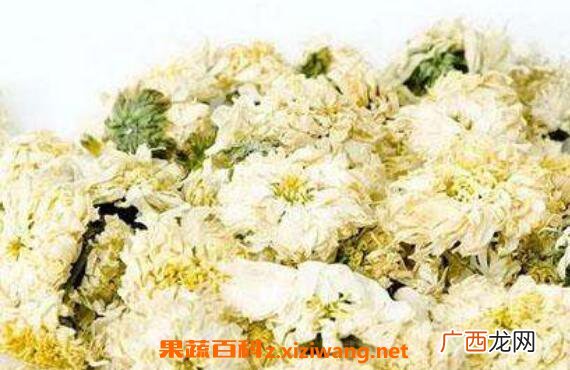 贡菊的功效与作用 喝贡菊的好处