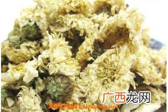 贡菊的功效与作用 喝贡菊的好处
