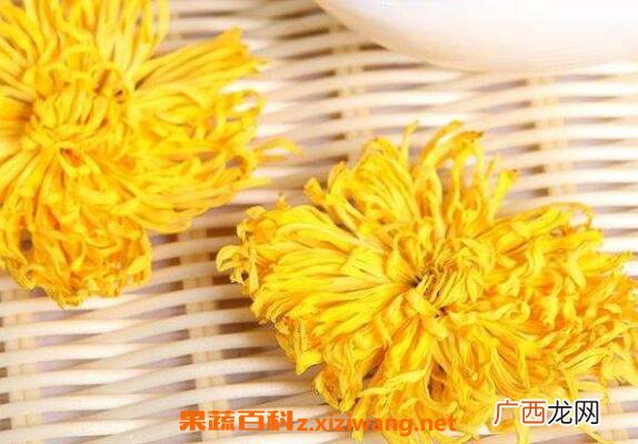 金丝皇菊的功效与作用 金丝皇菊的食用禁忌