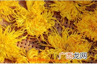 金丝皇菊的功效与作用 金丝皇菊的食用禁忌