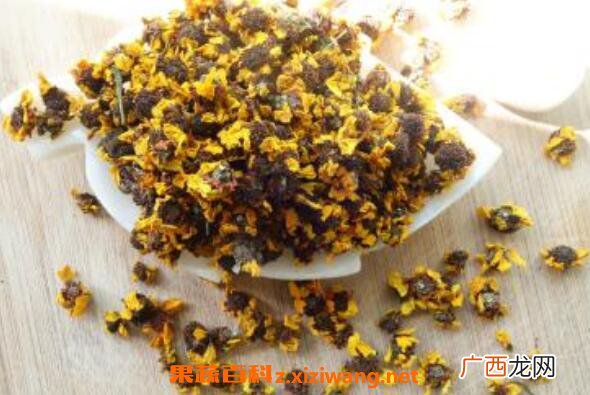 雪菊的功效与作用有哪些 雪菊的食用方法