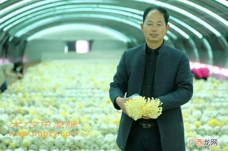 食用菌示范基地简介 食用菌养殖基地