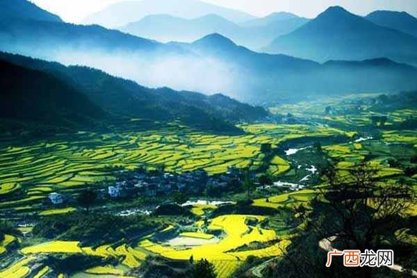 什么是生态农业？发展生态农业的好处居然这么