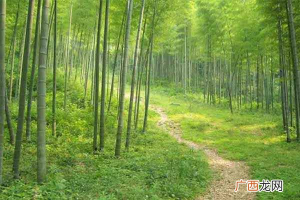 什么是生态农业？发展生态农业的好处居然这么