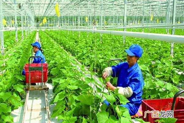 什么是生态农业？发展生态农业的好处居然这么