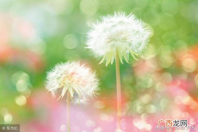 最火微信昵称 做生意的微信昵称大全