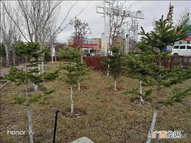 姗姗来迟是什么意思？新疆的春天姗姗来迟