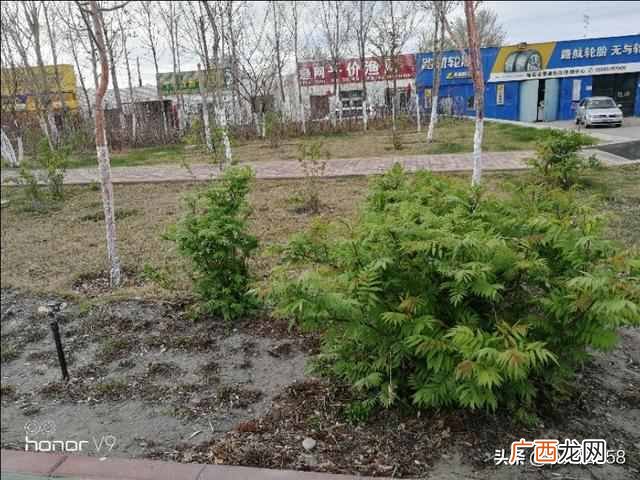 姗姗来迟是什么意思？新疆的春天姗姗来迟