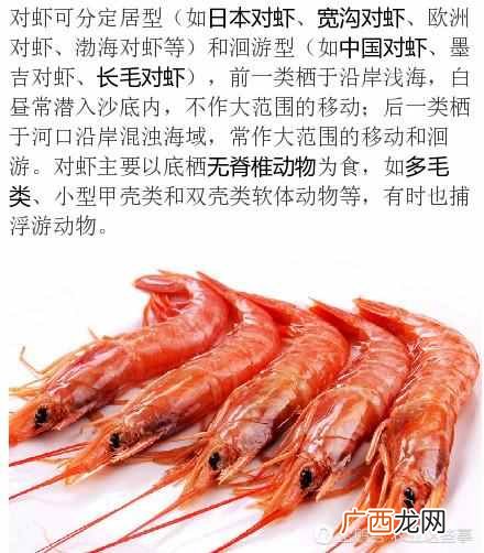 虾类靠什么呼吸？快来涨涨知识吧