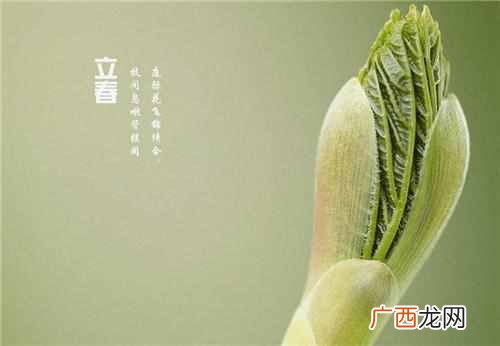 2019立春是什么时候？几月几号星期几
