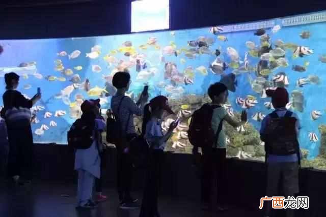 5d电影是什么效果？让你感受真正的身临其境，太