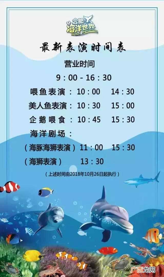 5d电影是什么效果？让你感受真正的身临其境，太