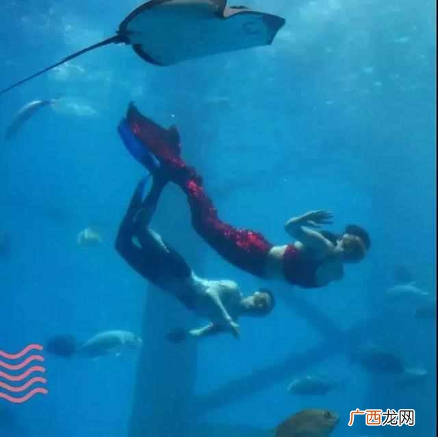 5d电影是什么效果？让你感受真正的身临其境，太