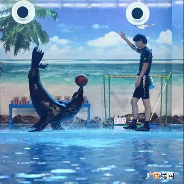 5d电影是什么效果？让你感受真正的身临其境，太
