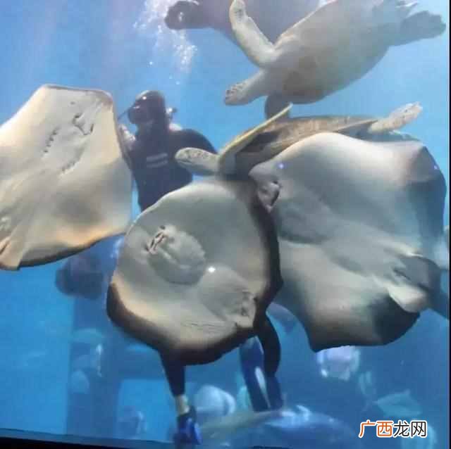 5d电影是什么效果？让你感受真正的身临其境，太