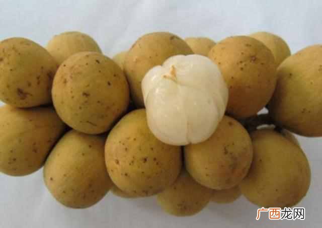 南方适合种什么水果？6种超级好吃的水果，你吃