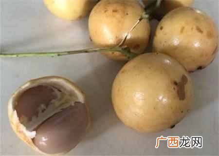 南方适合种什么水果？6种超级好吃的水果，你吃