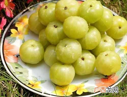 南方适合种什么水果？6种超级好吃的水果，你吃