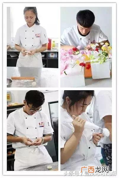 培训裱花师理论知识,零基础学裱花要多长时间