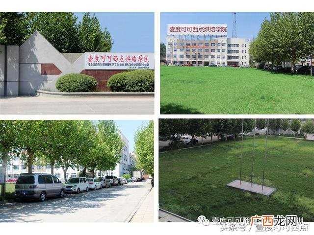 培训裱花师理论知识,零基础学裱花要多长时间