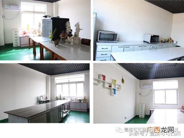 培训裱花师理论知识,零基础学裱花要多长时间
