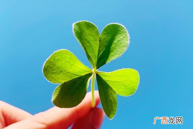 哪些银行可以二次按揭 按揭房二次抵押贷款条件