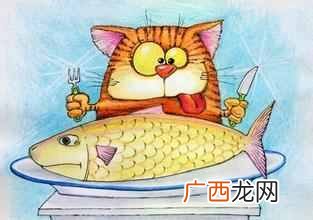 猫为什么喜欢吃鱼和老鼠？原因其实很简单