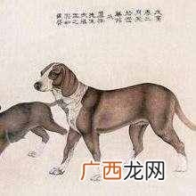 网络语乌龙是什么意思？今天终于明白了