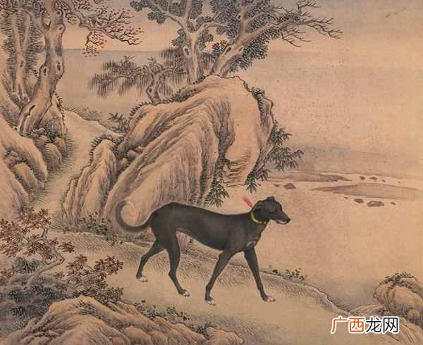 网络语乌龙是什么意思？今天终于明白了