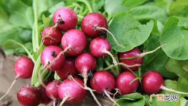 吃什么蔬菜对皮肤好还能美白？7种蔬菜养颜效果