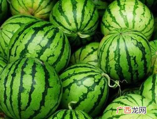 为什么没有北瓜？今天终于明白了