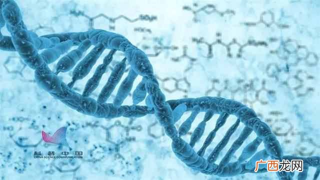 生物钟是什么意思,如何调整自己的生物钟!