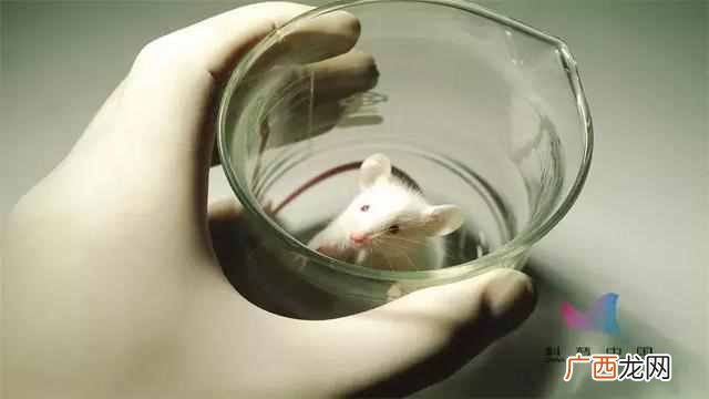 生物钟是什么意思,如何调整自己的生物钟!