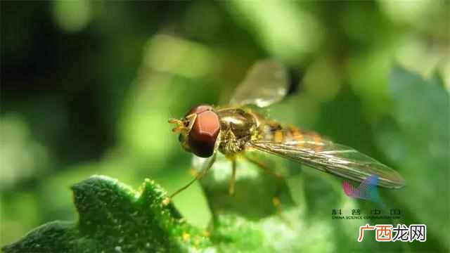 生物钟是什么意思,如何调整自己的生物钟!