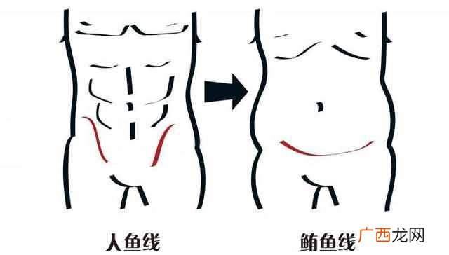 人鱼线是什么样子的肌肉，人鱼线怎么练最快图
