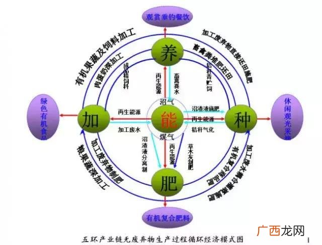 现在入手养猪前景如何 未来养猪小户养殖前景