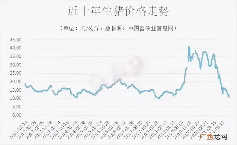 现在入手养猪前景如何 未来养猪小户养殖前景