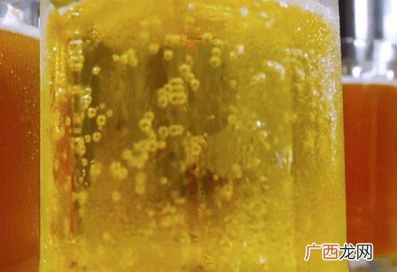 优布劳精酿啤酒多少钱一瓶 优布劳精酿啤酒加盟官网