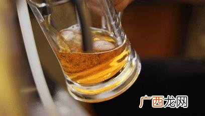 优布劳精酿啤酒多少钱一瓶 优布劳精酿啤酒加盟官网